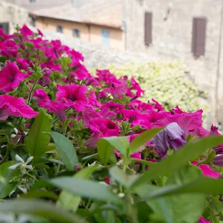 Antiche Mura Couette-café 3*
